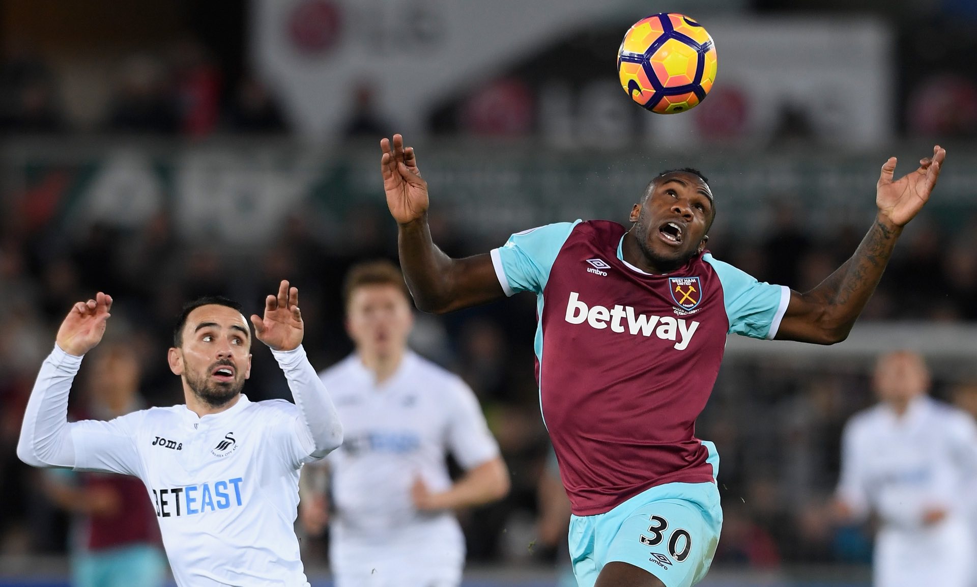 的进球所掩 的进球所掩